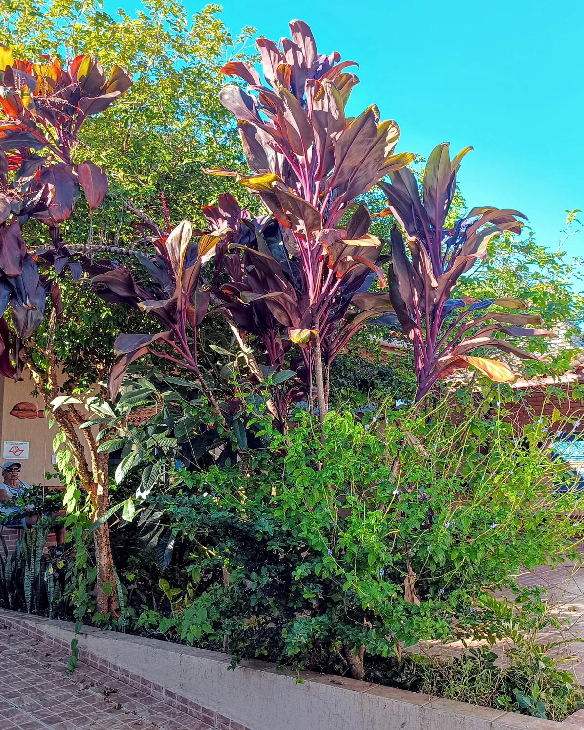 Área externa com jardim do Núcleo Shamah em Guarujá