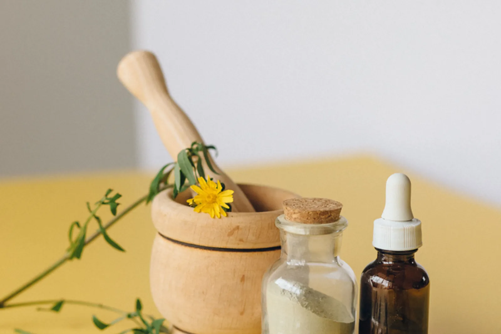 Fitoterapia no Núcleo Shamah em Guarujá com plantas medicinais e protocolo terapêutico natural.